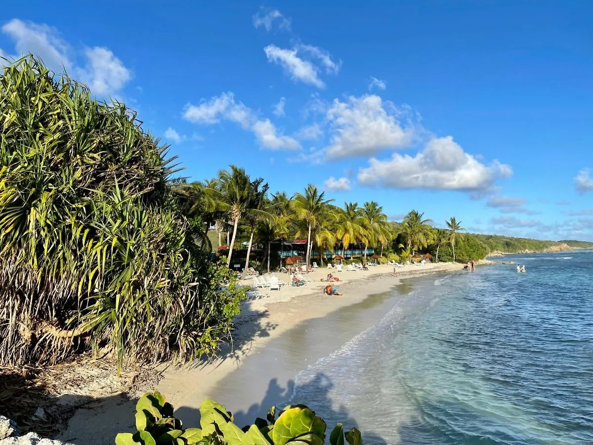 Studios Barbadine - Resorts Flats Sainte-Anne  Guadeloupe
