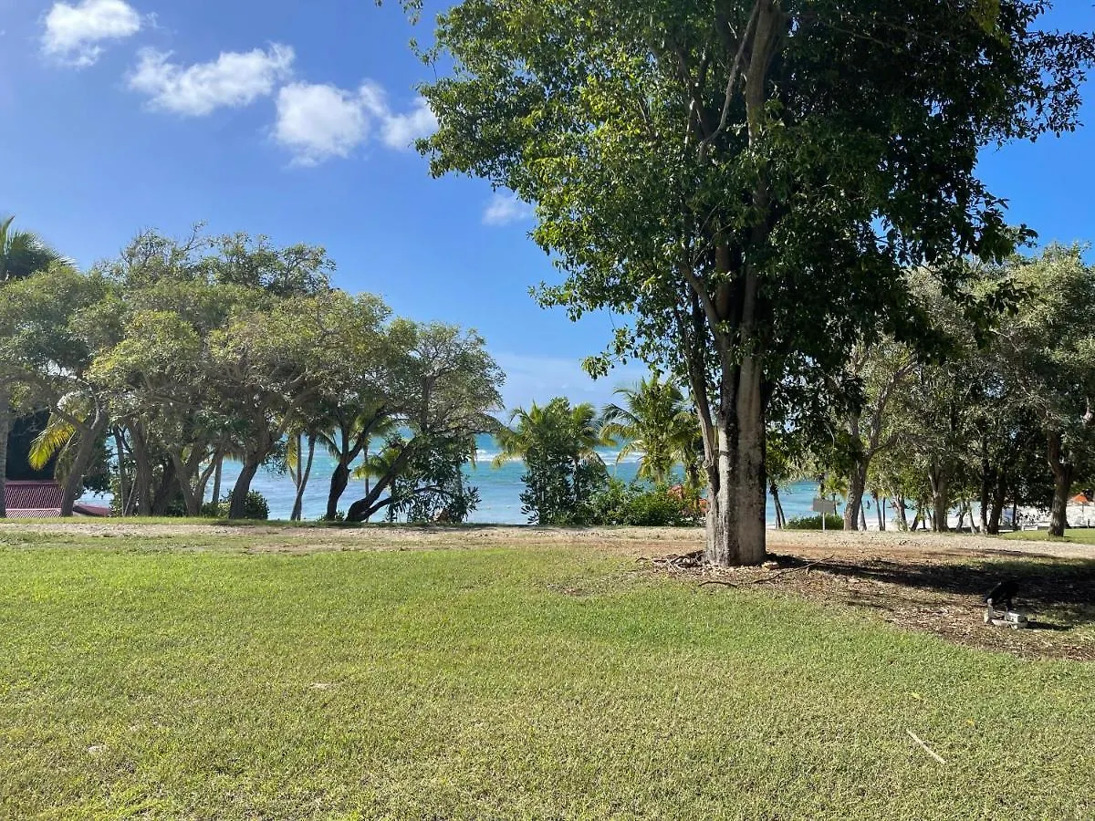 Studios Barbadine - Resorts Flats Sainte-Anne  Sainte-Anne (Grande-Terre)