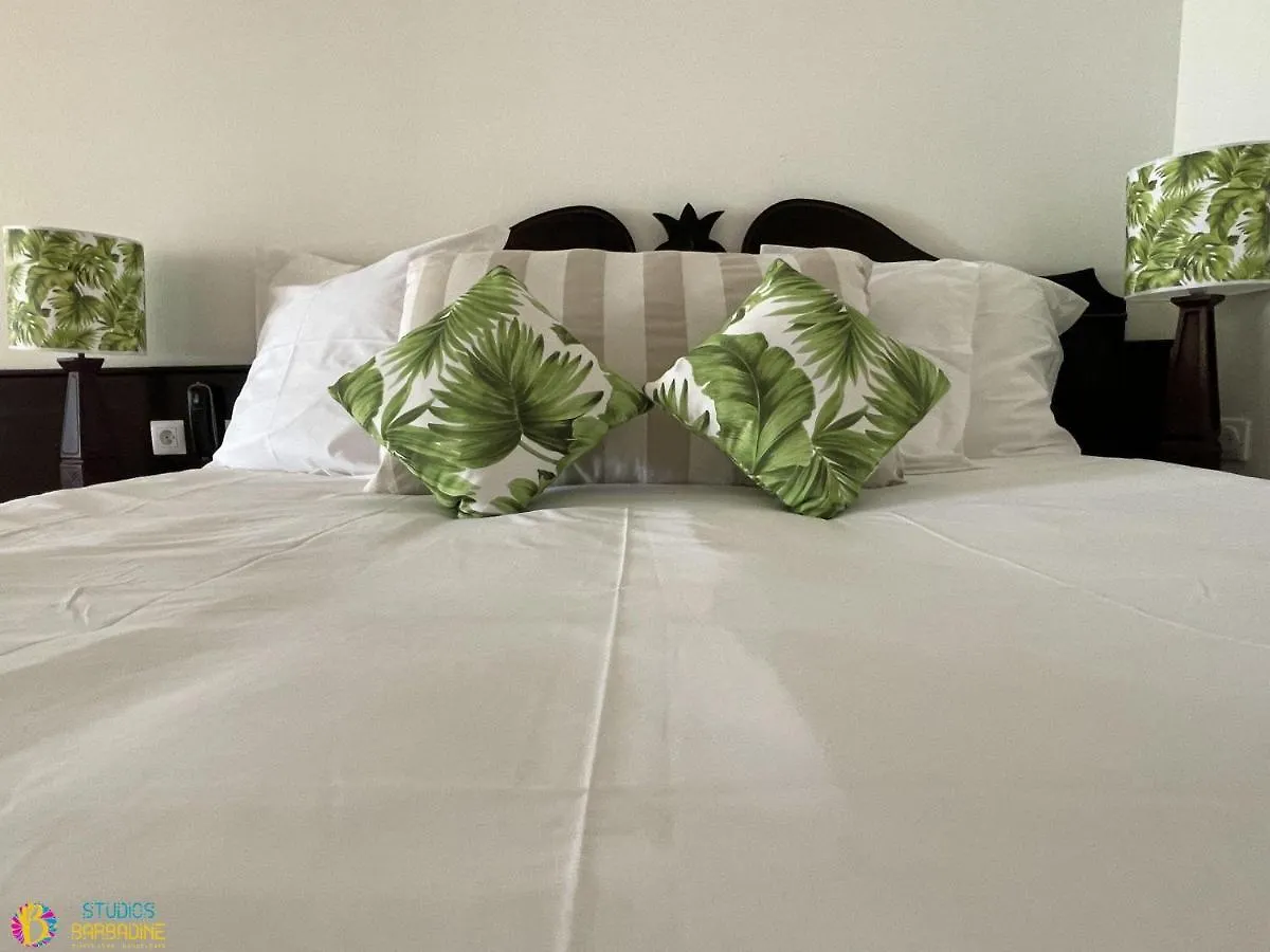 Aparthotel Studios Barbadine - Resorts Flats Sainte-Anne  Guadeloupe
