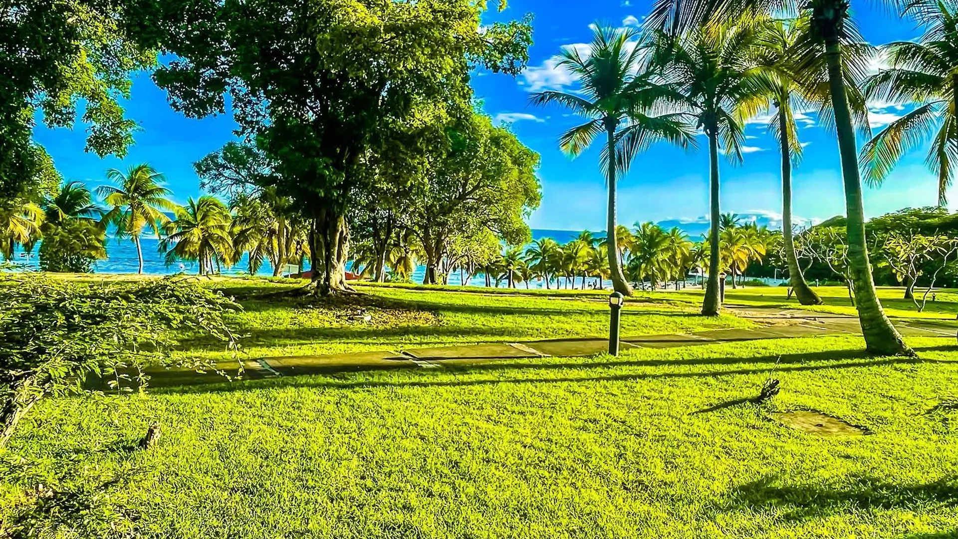 Studios Barbadine - Resorts Flats Sainte-Anne  Sainte-Anne (Grande-Terre)