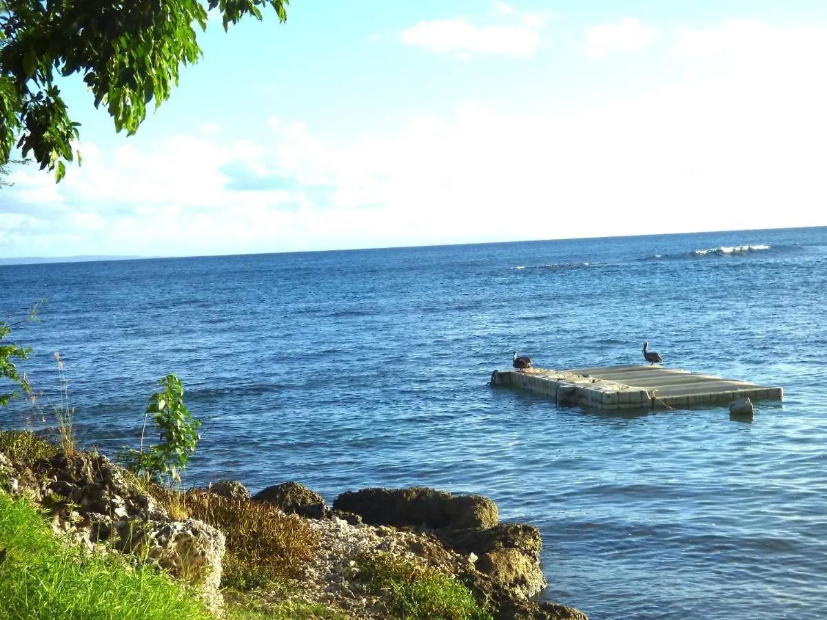 Aparthotel Studios Barbadine - Resorts Flats Sainte-Anne  Guadeloupe